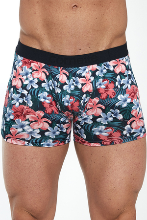 Cornette Herren Boxenshorts Unterhose Bunt Gemustert Komfortabel Baumwolle Alltag High Emotion 508/136 , Grün