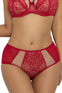 Vivisence Unterhosen Damen Slip Unterwäsche Frauen Hohe Taille Slip Baumwolle Spitze Netz Panties Glatter Mikrofaser Hinterteil 1044W, rot