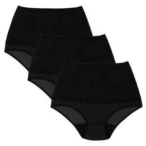 Wolbar Damen Sexy Shapewear-Slips 3-er Pack Spitze Miederslip Hohe Taille Figurformende WB207,